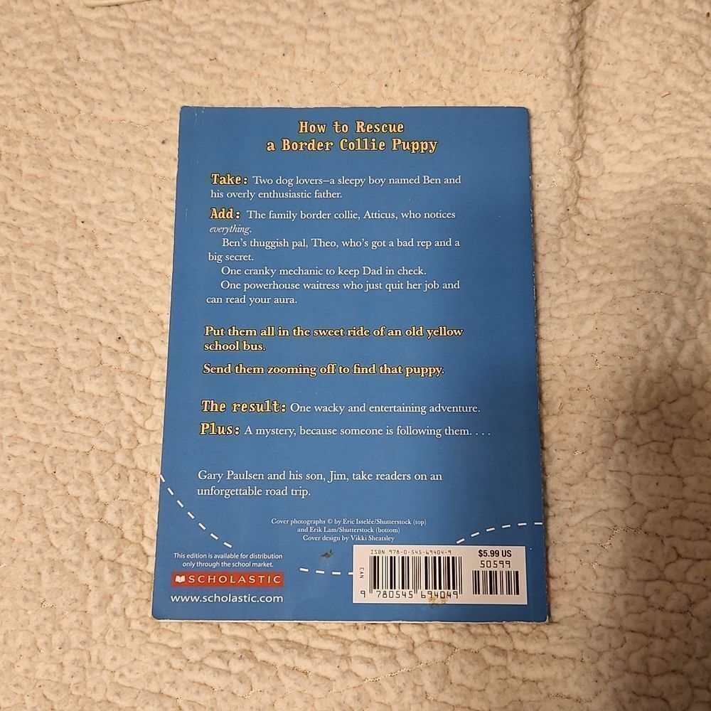 Chapter Books  - Picture 9 of 9